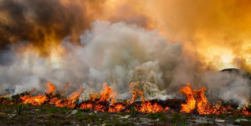 Featured image for “NV Energy proposes $500M wildfire self-insurance policy, disaster plan cost recovery”